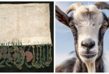 Минута отдыха Кожаные облигации XVII века, которые ухитряются до сих пор приносить доход Интересное 