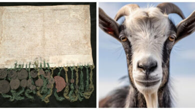 Минута отдыха Кожаные облигации XVII века, которые ухитряются до сих пор приносить доход Интересное 