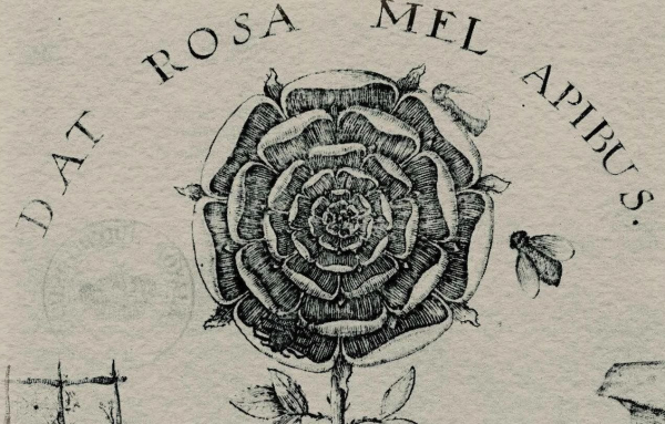 Минута отдыха Тайные сообщества мира — топ 10 Интересное 