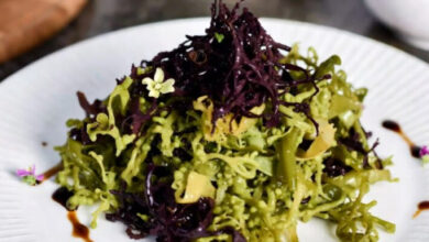 Минута отдыха Польза морской капусты для организма: полное руководство для новичков Интересное 