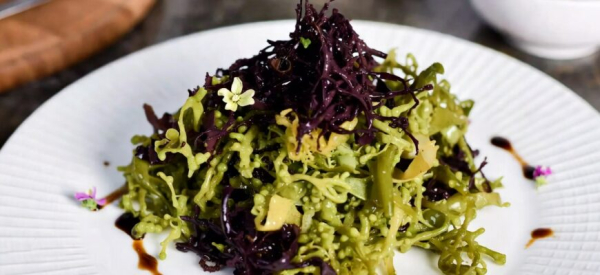 Минута отдыха Польза морской капусты для организма: полное руководство для новичков Интересное Минута отдыха Польза морской капусты для организма: полное руководство для новичков Интересное