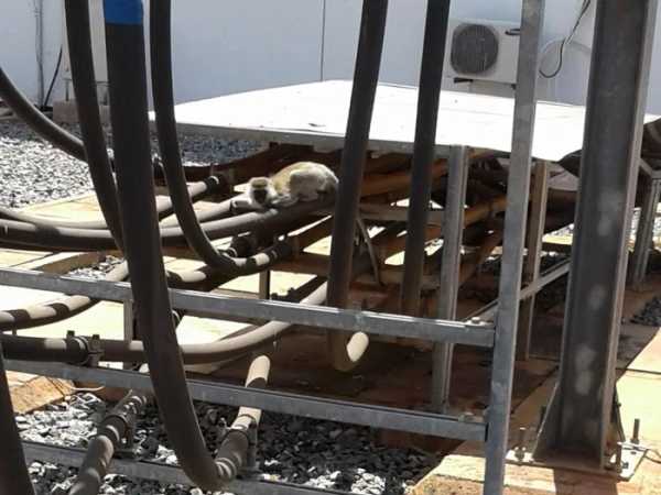 Минута отдыха Неожиданные факты из разных сфер, помогающие лучше понять мир Интересное Минута отдыха Неожиданные факты из разных сфер, помогающие лучше понять мир Интересное