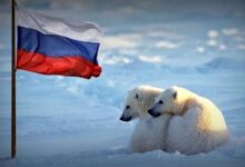 Минута отдыха Охота за тайнами Арктики Шпионаж 