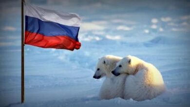 Минута отдыха Охота за тайнами Арктики Шпионаж 