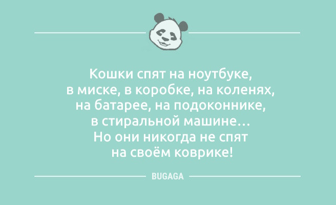 Минута отдыха Анекдотов пост: «Считаю, что автомобилям нужен…» (9 шт) Анекдоты 