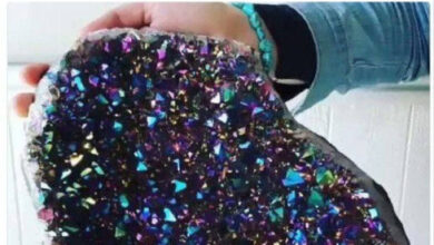 Минута отдыха Мем №1564129 Анекдоты 