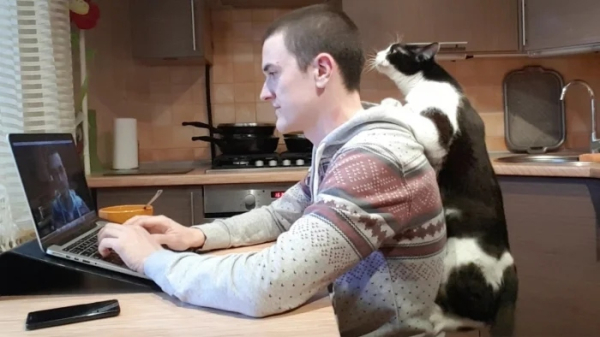 Минута отдыха Питомцы помогают своим хозяевам с работой из дома и превращают рутину в веселье Животные Минута отдыха Питомцы помогают своим хозяевам с работой из дома и превращают рутину в веселье Животные