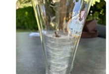 Минута отдыха Мем №1567378 Анекдоты 