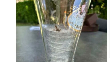 Минута отдыха Мем №1567378 Анекдоты 