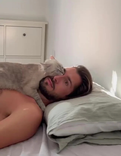 Минута отдыха Коты — настоящие загадки природы и самые странные создания на планете Животные Минута отдыха Коты — настоящие загадки природы и самые странные создания на планете Животные