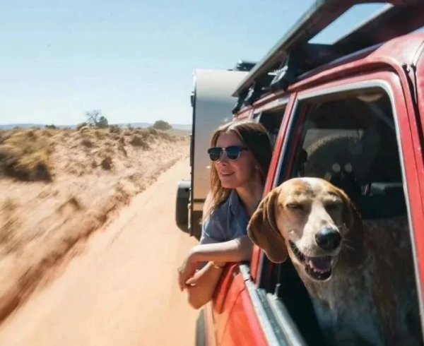 Минута отдыха Пёсели и их друзья в летнем путешествии мечты на автомобиле Животные Минута отдыха Пёсели и их друзья в летнем путешествии мечты на автомобиле Животные