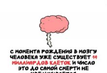 Минута отдыха Интересные короткие факты на все случаи жизни Интересное 