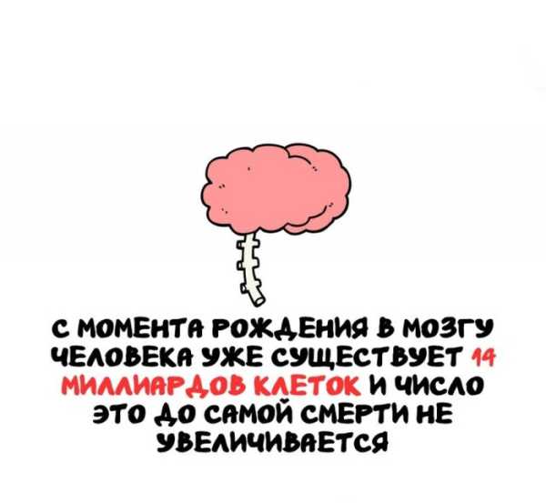 Минута отдыха Интересные короткие факты на все случаи жизни Интересное 