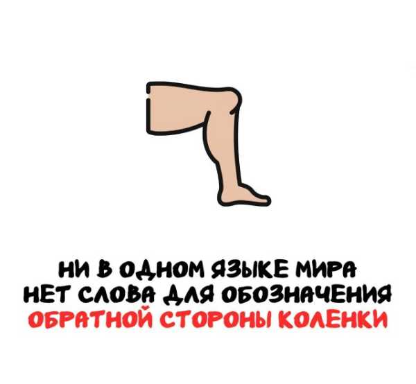 Минута отдыха Интересные короткие факты на все случаи жизни Интересное 