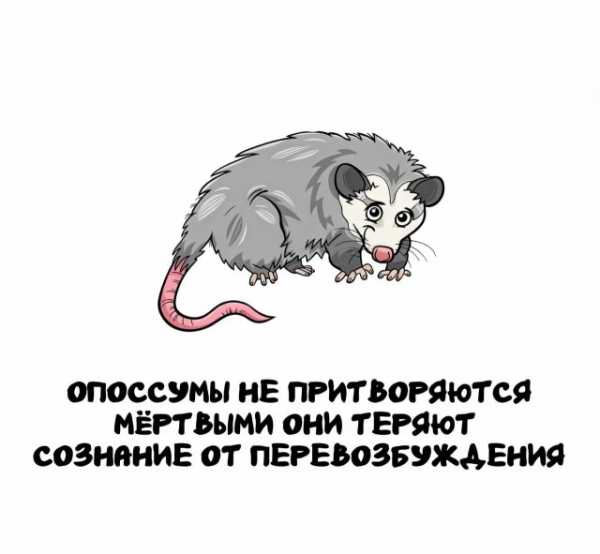 Минута отдыха Интересные короткие факты на все случаи жизни Интересное 