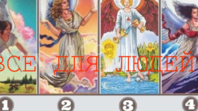 Минута отдыха Оракул ангелов: выберите ангела и получите прекрасное послание на всю жизнь Интересное 