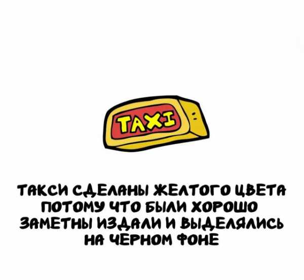 Минута отдыха Интересные короткие факты на все случаи жизни Интересное 