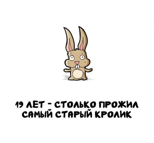 Минута отдыха Интересные короткие факты на все случаи жизни Интересное 