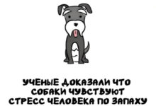 Минута отдыха А вдруг ты не знал… Интересное 