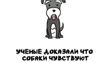 Минута отдыха А вдруг ты не знал… Интересное Минута отдыха А вдруг ты не знал… Интересное