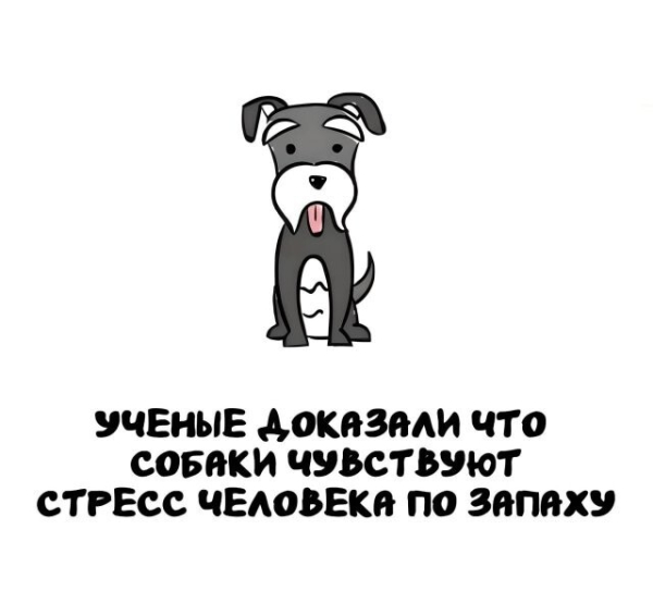 Минута отдыха А вдруг ты не знал… Интересное 