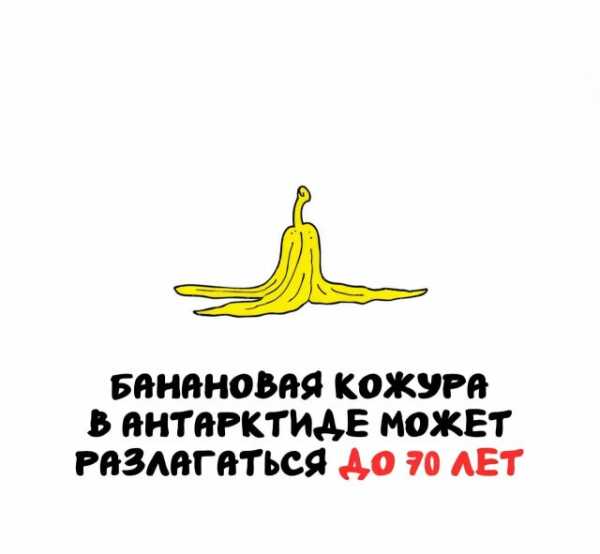 Минута отдыха Интересные короткие факты на все случаи жизни Интересное 