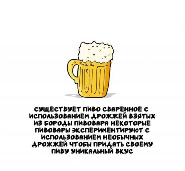 Минута отдыха Интересные короткие факты на все случаи жизни Интересное 