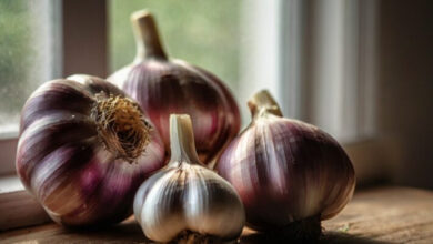 Минута отдыха Чеснок будет храниться долго и не высохнет: Полное руководство по сохранению свежести и аромата Интересное 