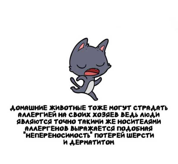 Минута отдыха Интересные короткие факты на все случаи жизни Интересное 