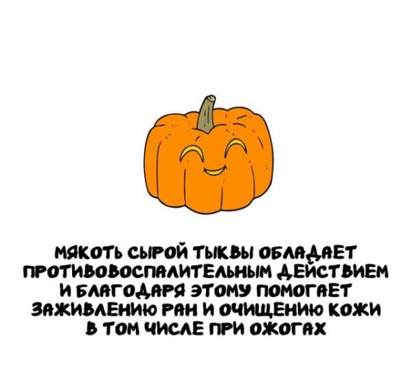 Минута отдыха Интересные короткие факты на все случаи жизни Интересное 