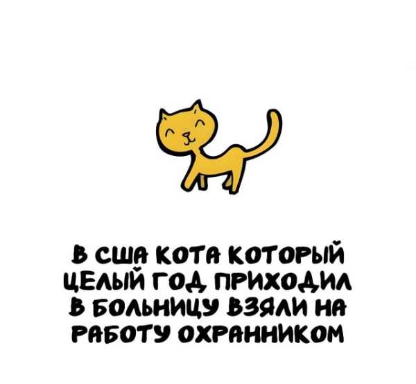 Минута отдыха Интересные короткие факты на все случаи жизни Интересное 