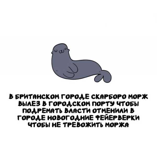 Минута отдыха Интересные короткие факты на все случаи жизни Интересное 