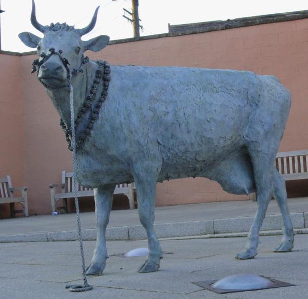 Минута отдыха Турра Ку – бурёнка, ставшая символом сопротивления Интересное Минута отдыха Турра Ку – бурёнка, ставшая символом сопротивления Интересное