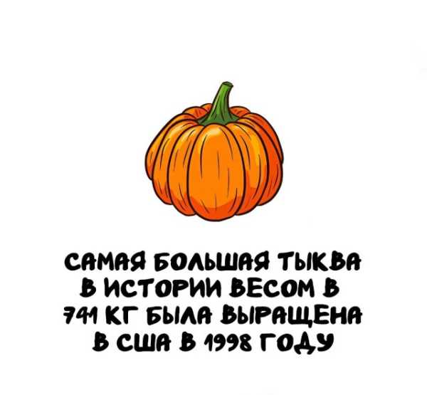 Минута отдыха Интересные короткие факты на все случаи жизни Интересное 