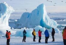 Минута отдыха Антарктида за 95 тысяч: круиз на край света начал конкурировать с Турцией Туризм 