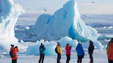 Минута отдыха Антарктида за 95 тысяч: круиз на край света начал конкурировать с Турцией Туризм 