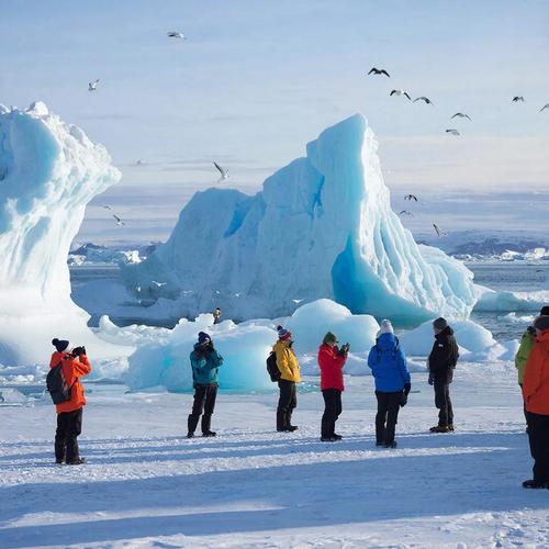 Минута отдыха Антарктида за 95 тысяч: круиз на край света начал конкурировать с Турцией Туризм 