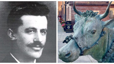 Минута отдыха Турра Ку – бурёнка, ставшая символом сопротивления Интересное Минута отдыха Турра Ку – бурёнка, ставшая символом сопротивления Интересное