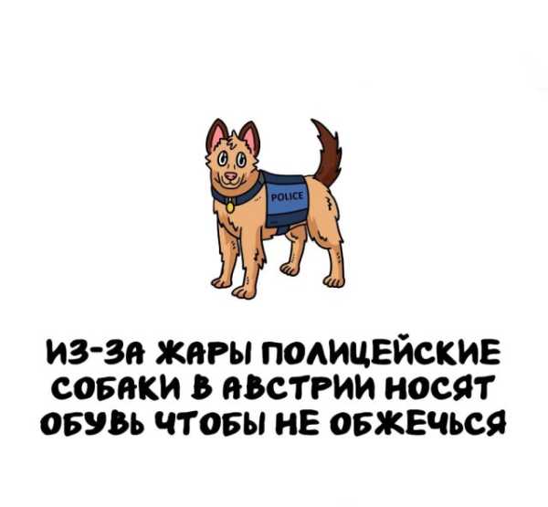 Минута отдыха Интересные короткие факты на все случаи жизни Интересное 