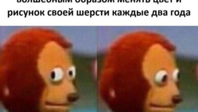 Минута отдыха Мем №1574074 Анекдоты 