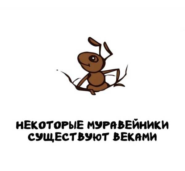 Минута отдыха Интересные короткие факты на все случаи жизни Интересное 