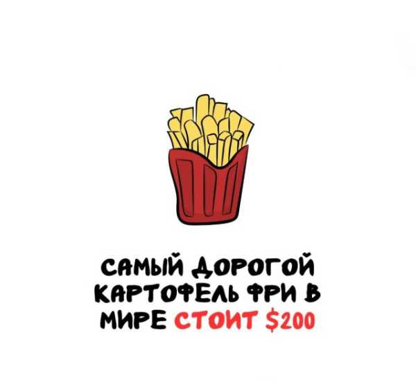 Минута отдыха Интересные короткие факты на все случаи жизни Интересное 