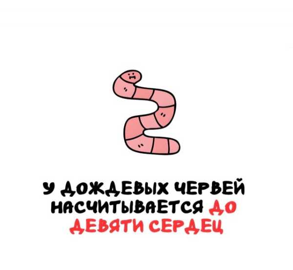 Минута отдыха Интересные короткие факты на все случаи жизни Интересное 