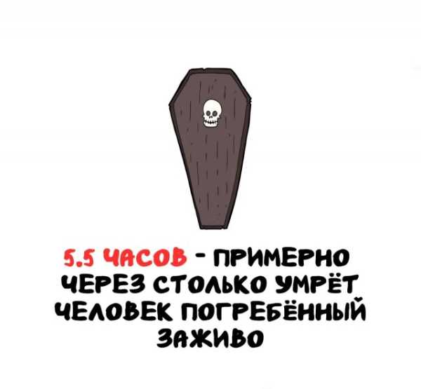 Минута отдыха Интересные короткие факты на все случаи жизни Интересное 