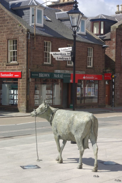 Минута отдыха Турра Ку – бурёнка, ставшая символом сопротивления Интересное Минута отдыха Турра Ку – бурёнка, ставшая символом сопротивления Интересное