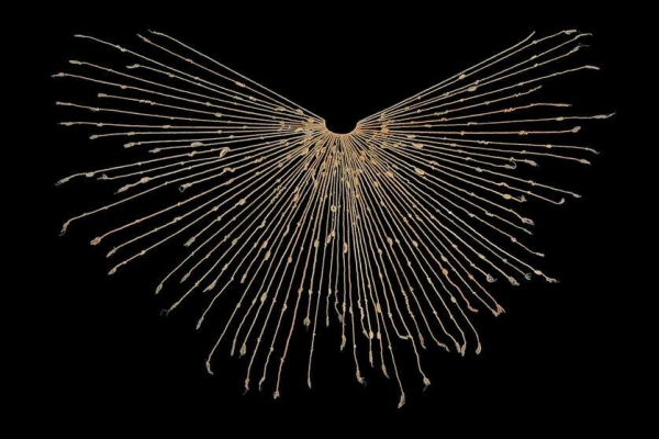 Минута отдыха Забытая система узелков: бухгалтерия инков, тайный код и утраченный язык Интересное 