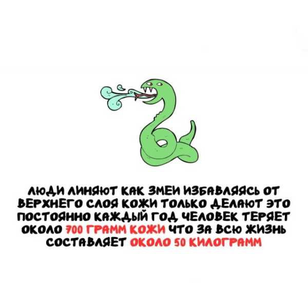 Минута отдыха Интересные короткие факты на все случаи жизни Интересное 