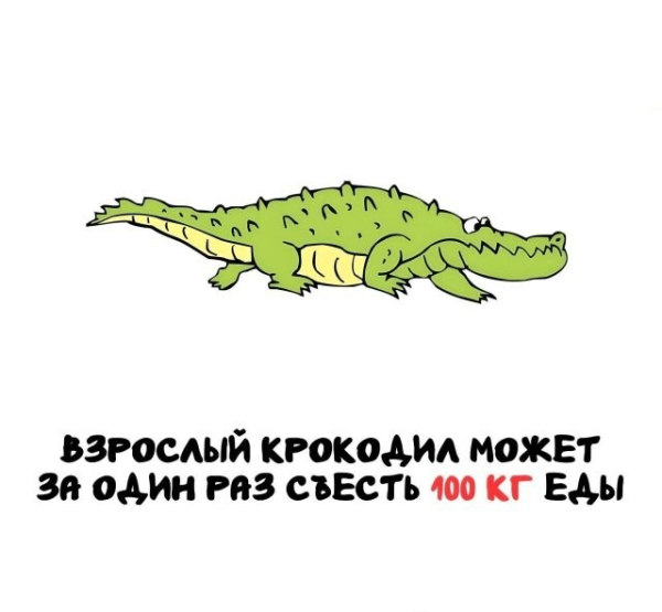 Минута отдыха А вдруг ты не знал… Интересное 