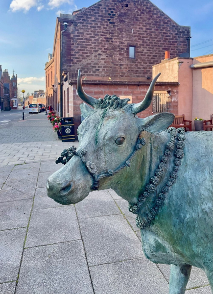 Минута отдыха Турра Ку – бурёнка, ставшая символом сопротивления Интересное Минута отдыха Турра Ку – бурёнка, ставшая символом сопротивления Интересное