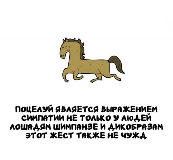 Минута отдыха Интересные короткие факты на все случаи жизни Интересное 